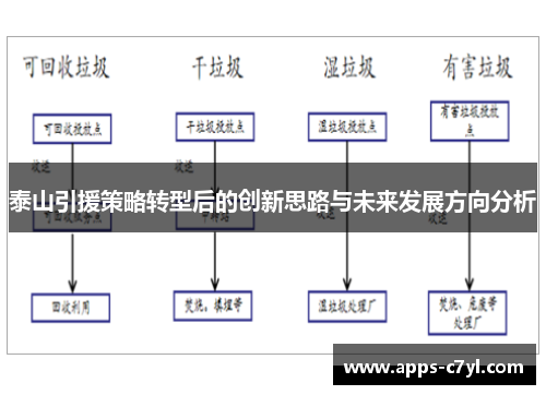 泰山引援策略转型后的创新思路与未来发展方向分析