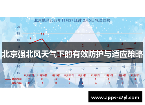 北京强北风天气下的有效防护与适应策略