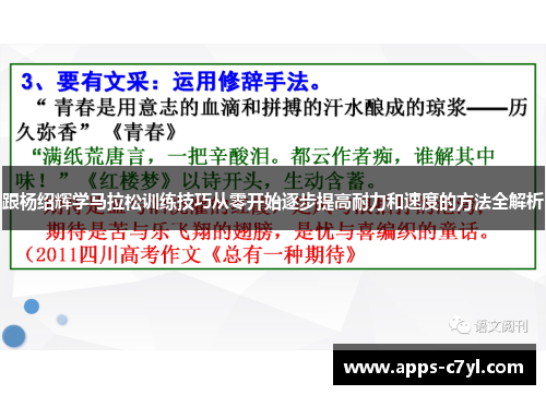 跟杨绍辉学马拉松训练技巧从零开始逐步提高耐力和速度的方法全解析