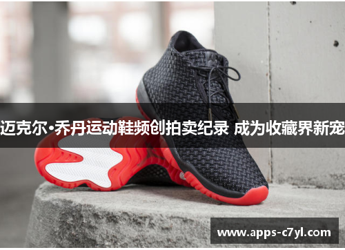 迈克尔·乔丹运动鞋频创拍卖纪录 成为收藏界新宠
