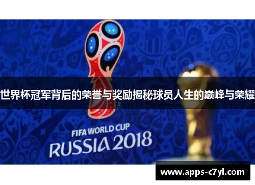 世界杯冠军背后的荣誉与奖励揭秘球员人生的巅峰与荣耀
