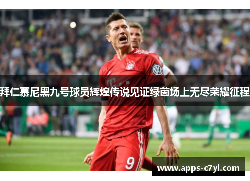 拜仁慕尼黑九号球员辉煌传说见证绿茵场上无尽荣耀征程